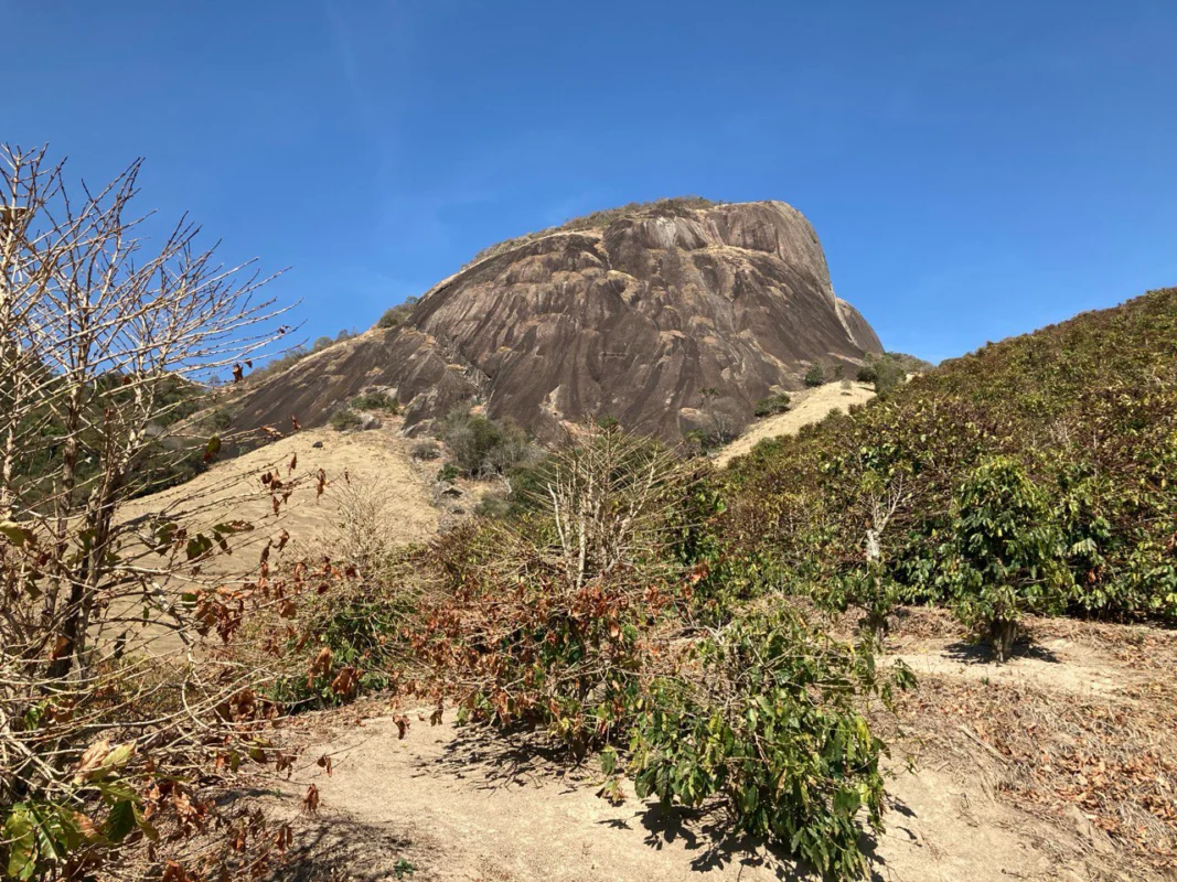 Relato de uma Trad em Andradas